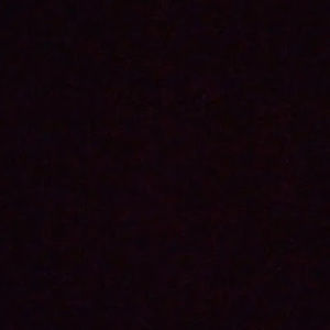 Meet your Posher, Alexandrea